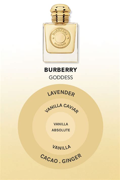 what does burberry body smell like|Burberry her vs goddess.